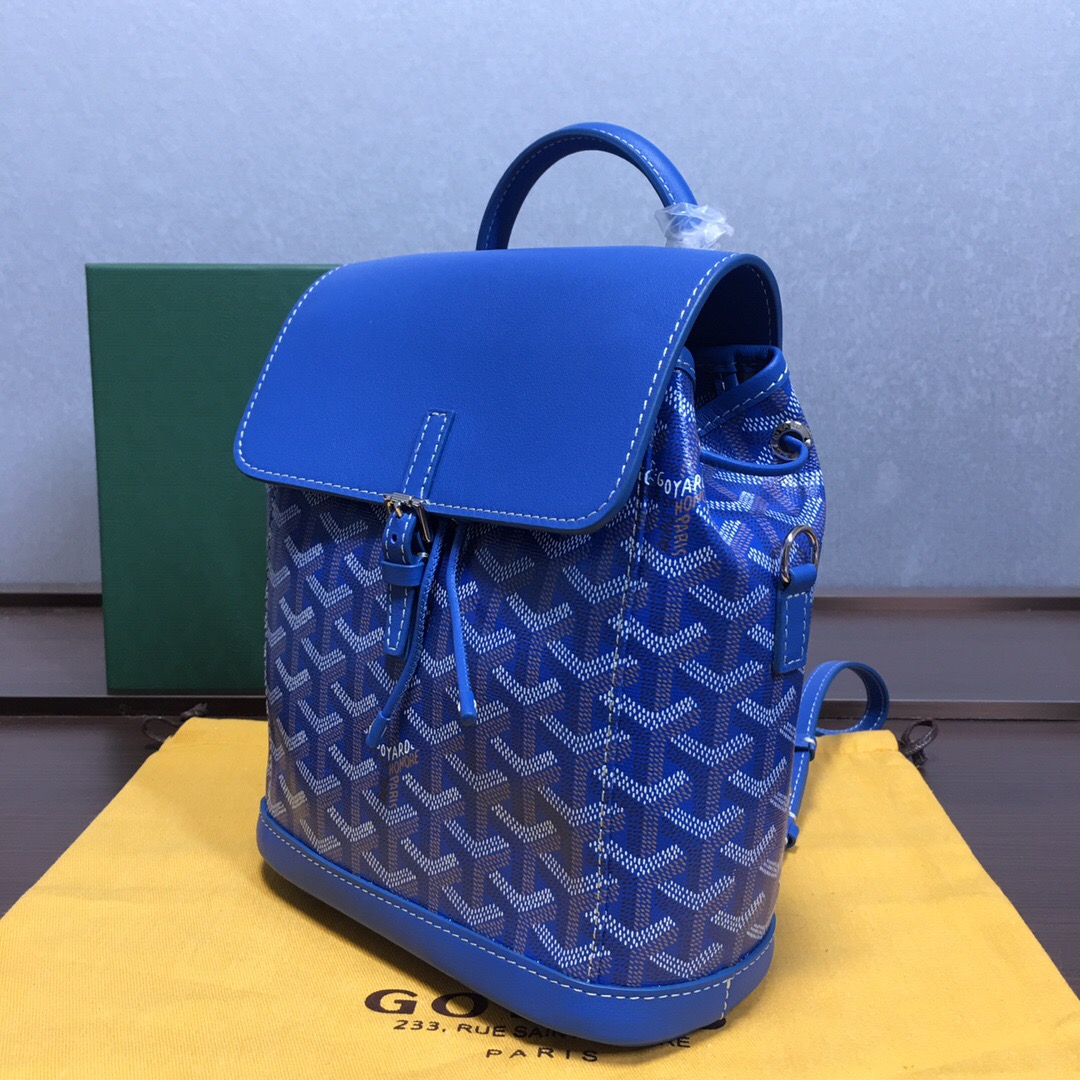Go*ard backpack