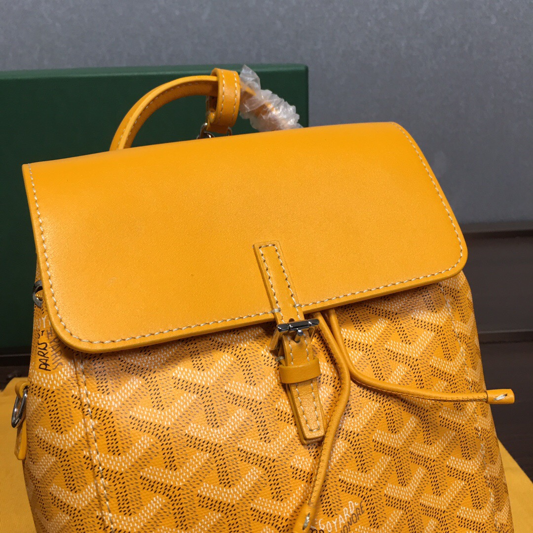 Go*ard backpack