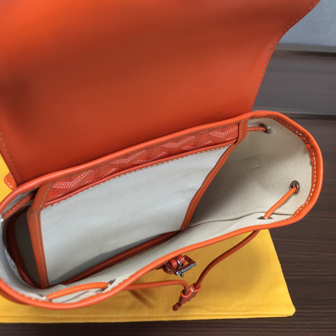 Go*ard backpack