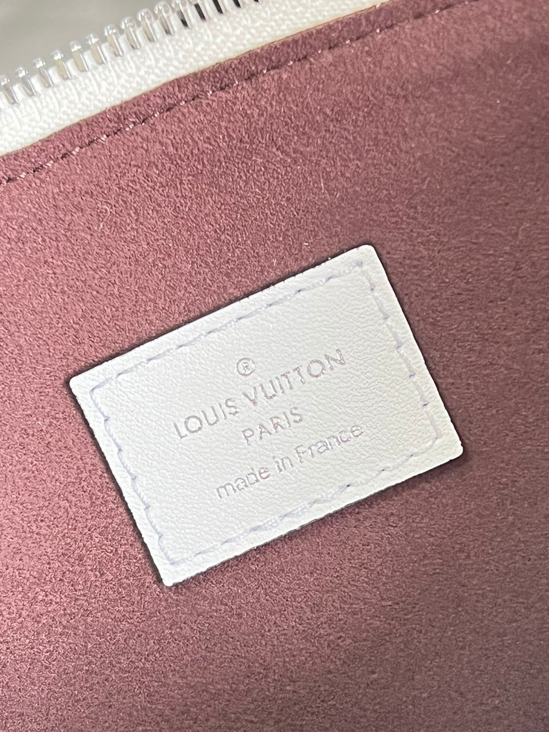 l**is V*t*n coussin pm