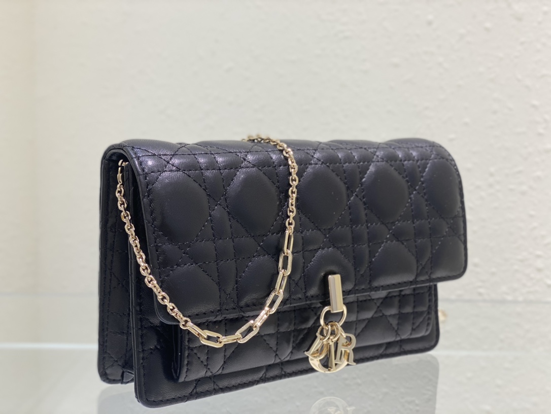 lady D*or chain pouch