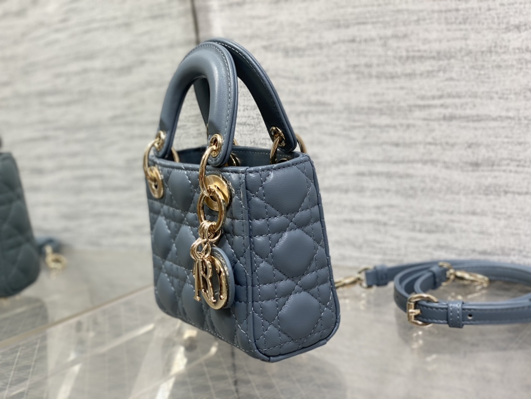 lady D*or micro bag