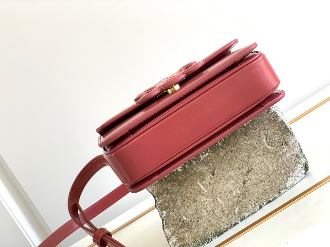 Ce**e cuir triomphe