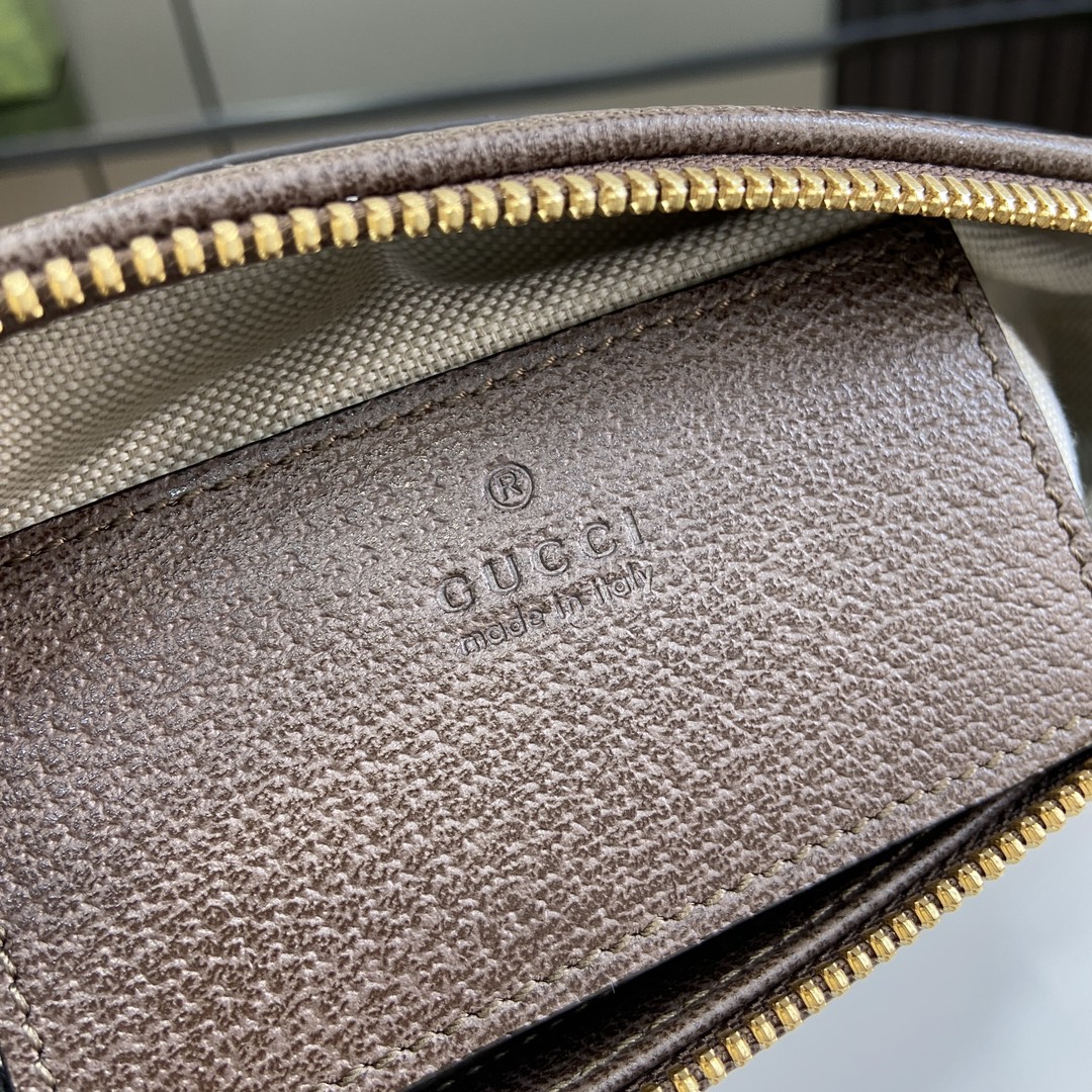 G*u*i ophidia gg mini shoulder bag